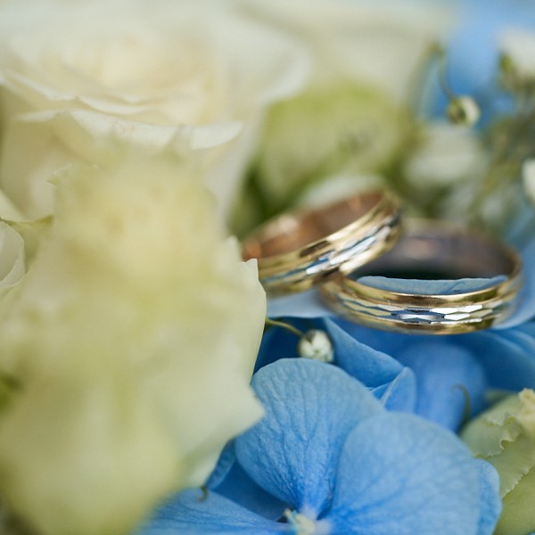 Fotka prstienkoch ulozenych v kvetoch hortenzie